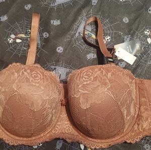 Torrid Bra